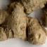 Ginger root
