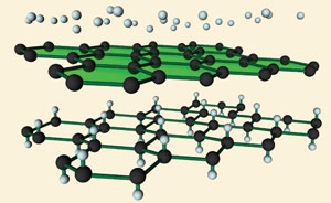 Graphene to graphane