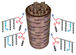 Diagram of polymer grafted to hair