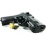 Gun