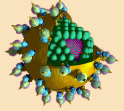 Hepatitis C