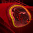 Blood vessel