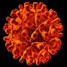 Hepatitis C virus