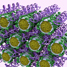 Honeycomb lipid