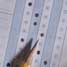 Multiple-choice paper and pencil