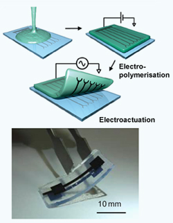 Hydrogel electrode
