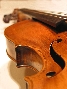 Nagyvary link image