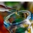 Colourful close-up of a glass pipette dropping liquid into a test tube