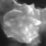 SEM image of metal particles in a QTC