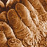 Gut villi