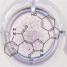 Structure of violacein on top of marine biofilm