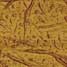 Nanotube ropes