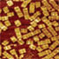 DNA nanotiles for detecting RNA