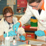 School laboratory