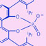 Chirall phosphate counterion