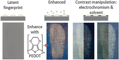 Enhanced latent fingerprint