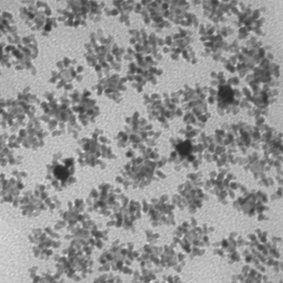 Bimetallic nanodendrites