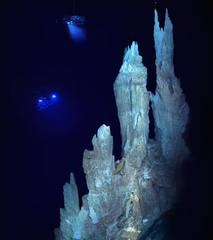 Carbonate chimney on sea-bed