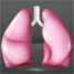 Lungs