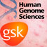 HGS and GSK