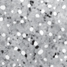 pnc-Si membrane
