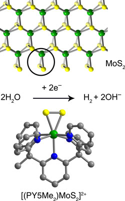 Molybdenum sulfide mimic