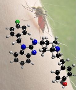 The antihistamine astemizole could help in fight against malaria