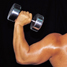 muscle
