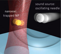 Nanoear cartoon