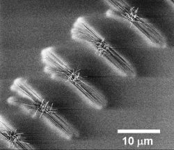Zinc oxide nanowires grow along the lattice structure of the sapphire substrate