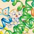 Aromatase