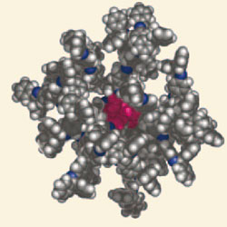 Model of dendrimer template