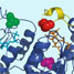 The promiscuous enzyme