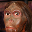 neanderthal