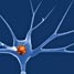 Nerve cell