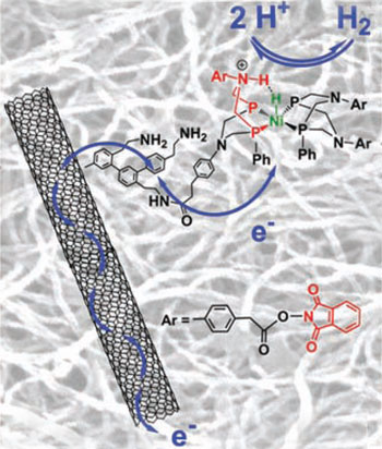 Bio-inspired nickel catalyst