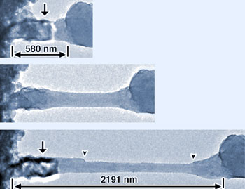 Salt nanowires