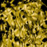 Osteoporosis