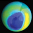 The hole in the ozone layer