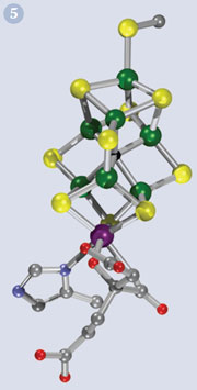 Molecule