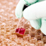 pesticide testing