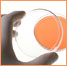 Petri dish