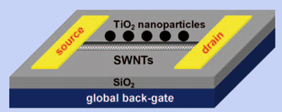 The coated nanotubes
