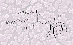 Platensimycin-MRSA