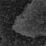 SEM image of nano-object consisting of alumina 'whiskers' topped with polystyrene balls
