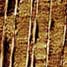 Crystalline polymer nano-layers