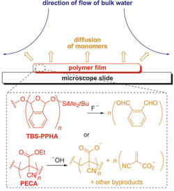 Polymer pump