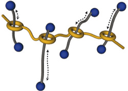 Polyrotaxane