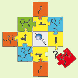 Enamine Mechanism