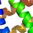 Protein structure